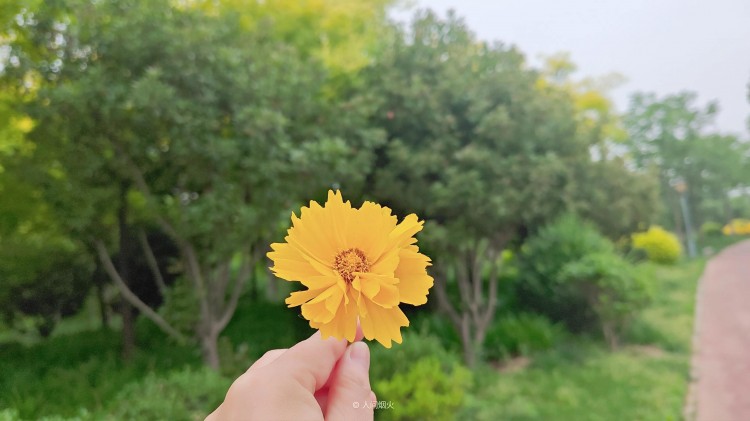 陌生人加好友千万别通过